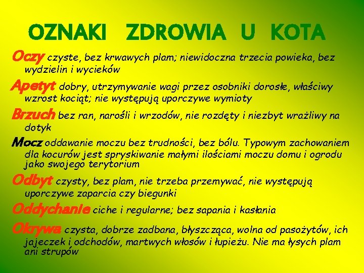 OZNAKI ZDROWIA U KOTA Oczy czyste, bez krwawych plam; niewidoczna trzecia powieka, bez wydzielin