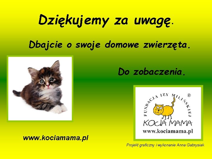 Dziękujemy za uwagę. Dbajcie o swoje domowe zwierzęta. Do zobaczenia. www. kociamama. pl Projekt