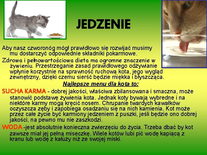 JEDZENIE Aby nasz czworonóg mógł prawidłowo się rozwijać musimy mu dostarczyć odpowiednie składniki pokarmowe.