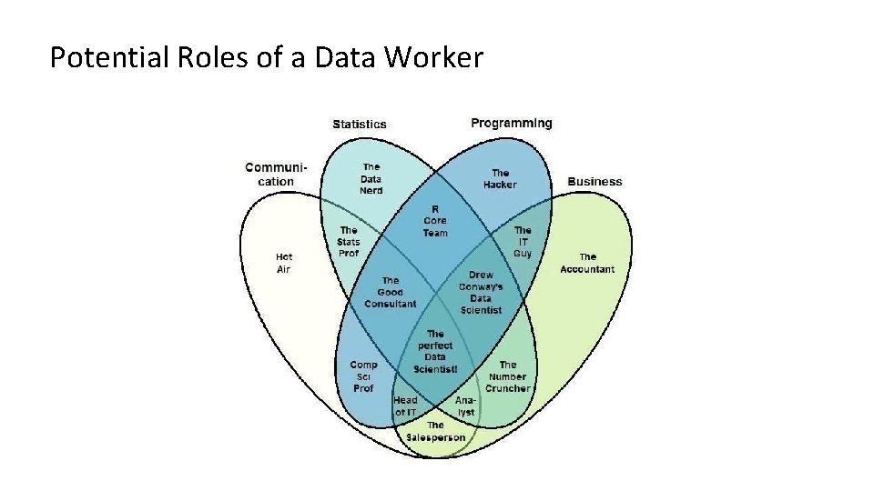 Potential Roles of a Data Worker 
