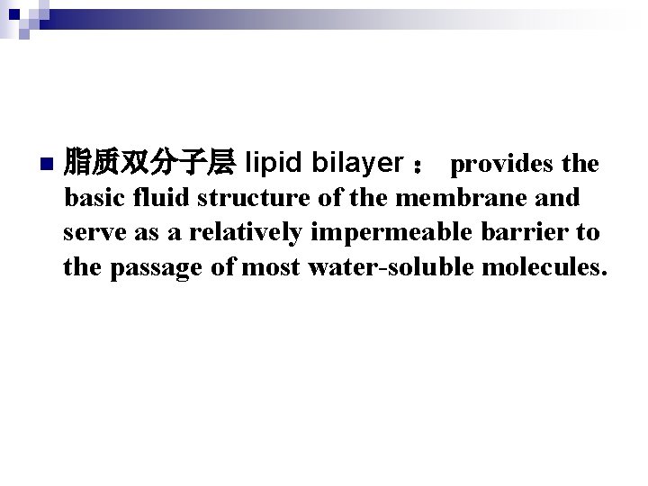 n 脂质双分子层 lipid bilayer ： provides the basic fluid structure of the membrane and