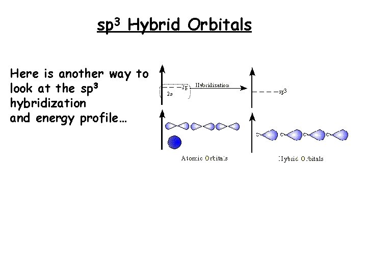 sp 3 Hybrid Orbitals Here is another way to look at the sp 3