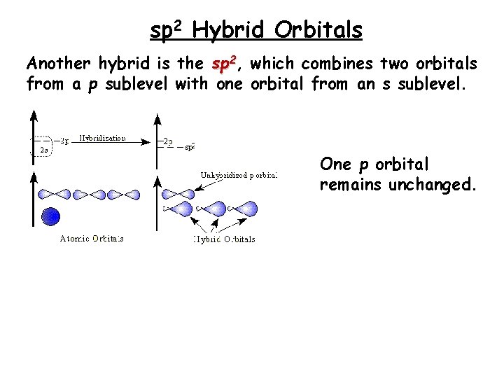 sp 2 Hybrid Orbitals Another hybrid is the sp 2, which combines two orbitals