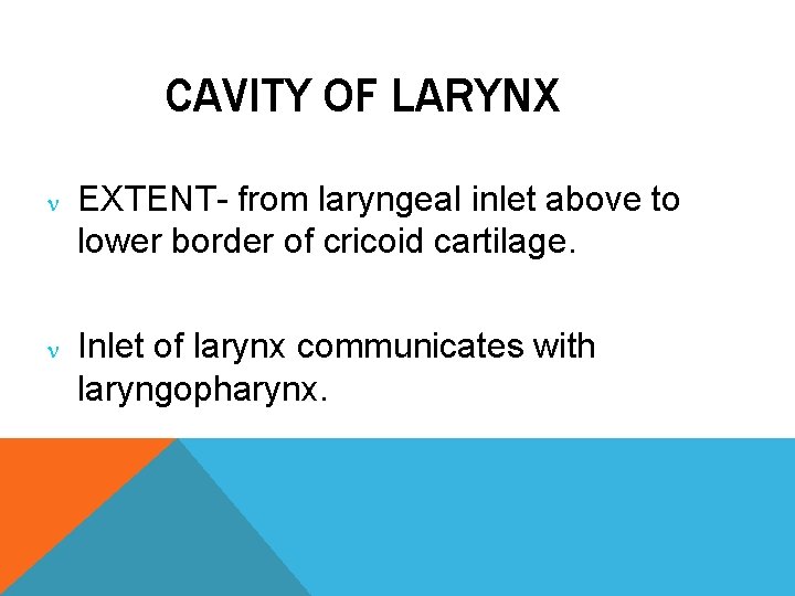 CAVITY OF LARYNX EXTENT- from laryngeal inlet above to lower border of cricoid cartilage.