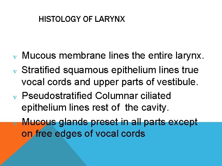 HISTOLOGY OF LARYNX Mucous membrane lines the entire larynx. Stratified squamous epithelium lines true