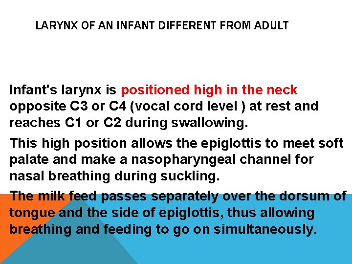 LARYNX OF AN INFANT DIFFERENT FROM ADULT Infant's larynx is positioned high in the