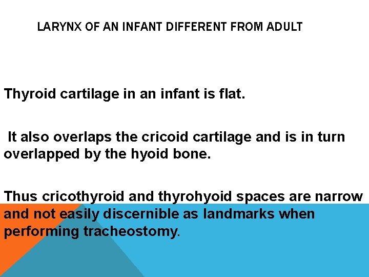 LARYNX OF AN INFANT DIFFERENT FROM ADULT Thyroid cartilage in an infant is flat.