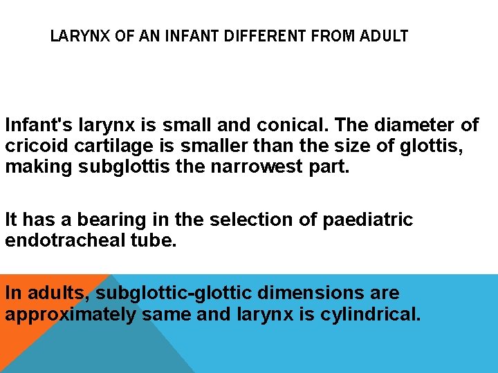 LARYNX OF AN INFANT DIFFERENT FROM ADULT Infant's larynx is small and conical. The