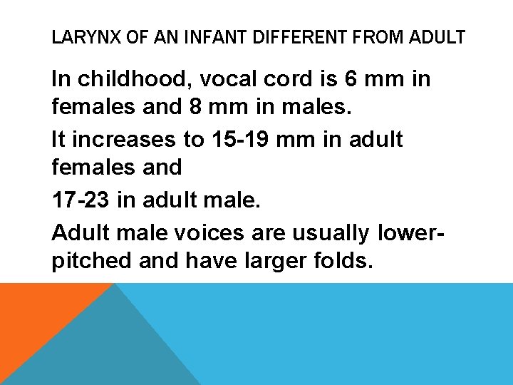 LARYNX OF AN INFANT DIFFERENT FROM ADULT In childhood, vocal cord is 6 mm