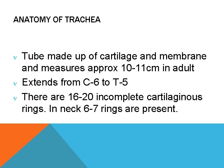 ANATOMY OF TRACHEA Tube made up of cartilage and membrane and measures approx 10