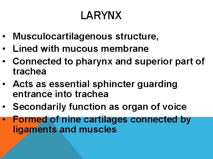 LARYNX • Musculocartilagenous structure, • Lined with mucous membrane • Connected to pharynx and