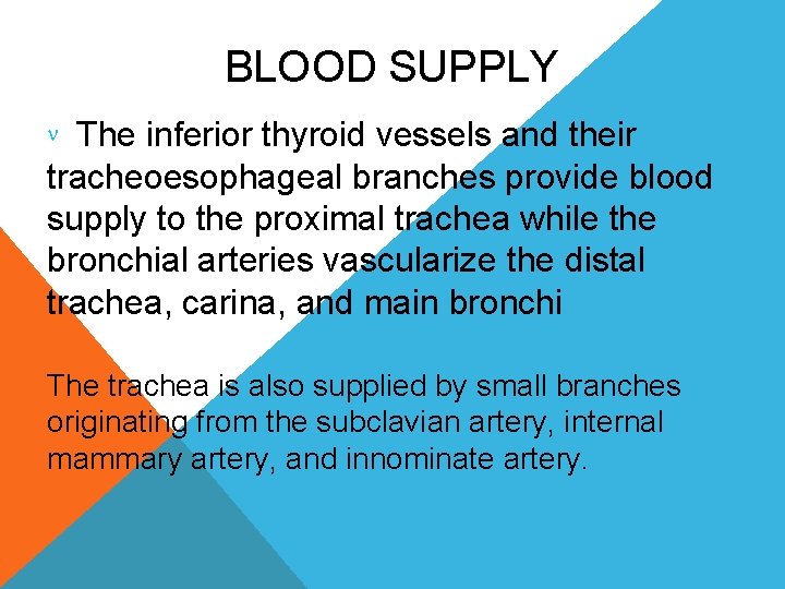 BLOOD SUPPLY The inferior thyroid vessels and their tracheoesophageal branches provide blood supply to