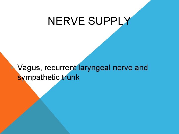 NERVE SUPPLY Vagus, recurrent laryngeal nerve and sympathetic trunk 