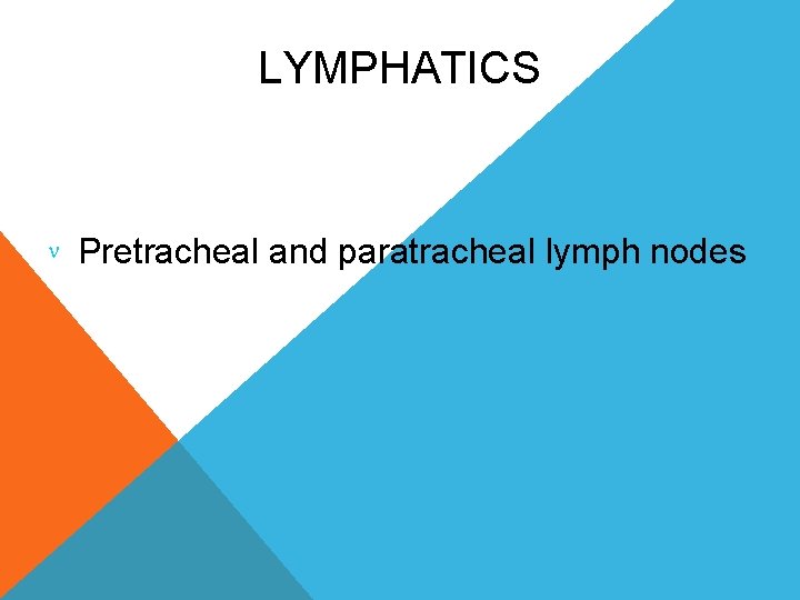 LYMPHATICS Pretracheal and paratracheal lymph nodes 