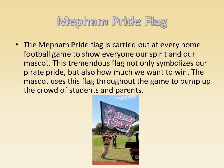 Mepham Pride Flag • The Mepham Pride flag is carried out at every home
