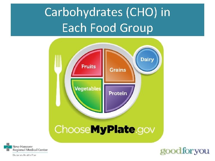 Carbohydrates (CHO) in Each Food Group 