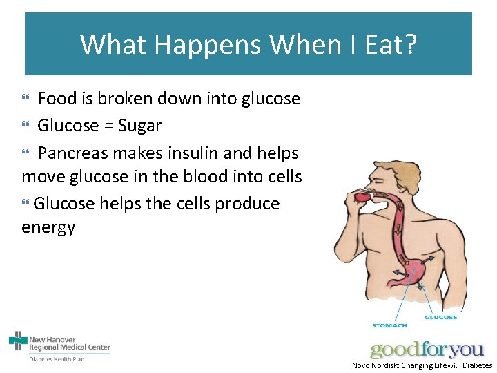 What Happens When I Eat? Food is broken down into glucose Glucose = Sugar