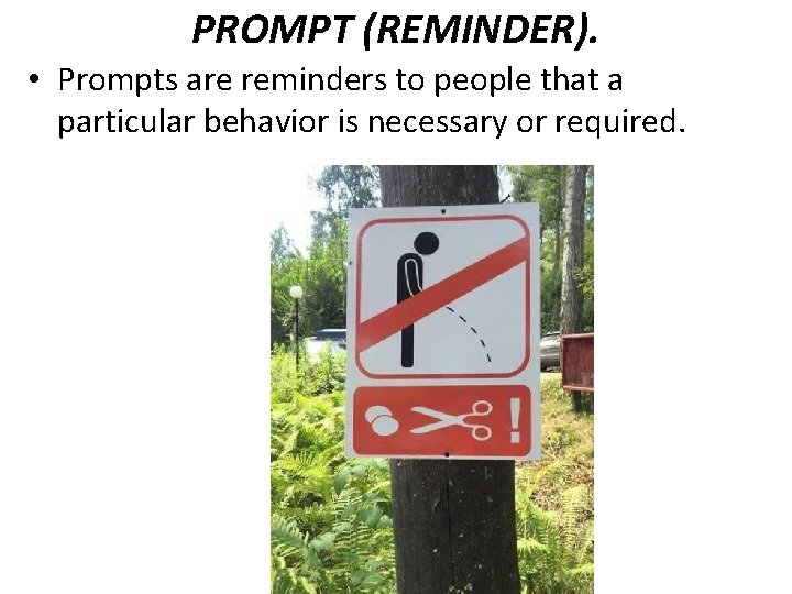 PROMPT (REMINDER). • Prompts are reminders to people that a particular behavior is necessary