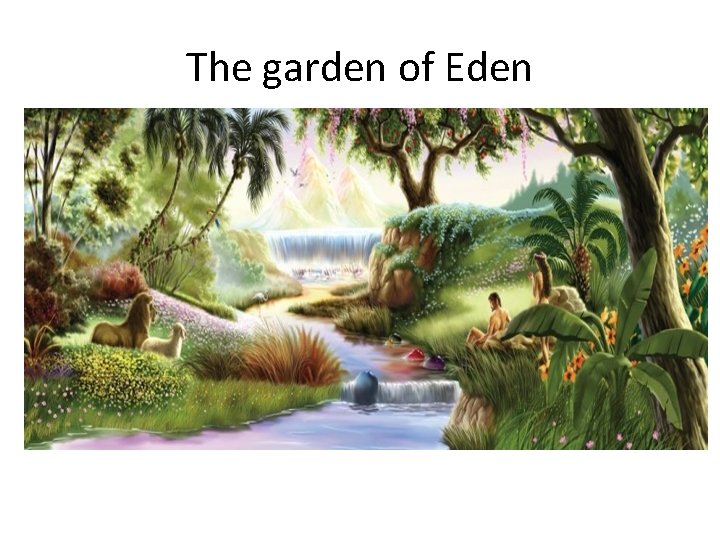 The garden of Eden 