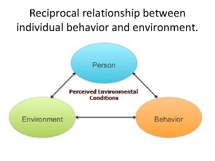 Reciprocal relationship between individual behavior and environment. 