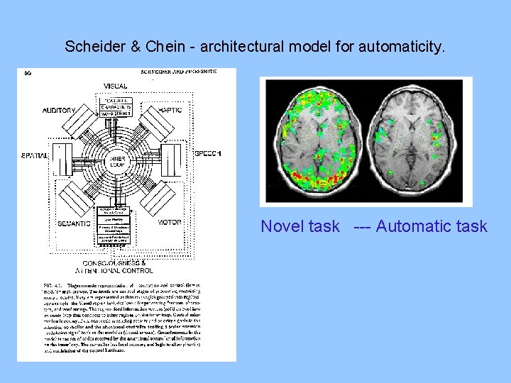 Scheider & Chein - architectural model for automaticity. Novel task --- Automatic task 