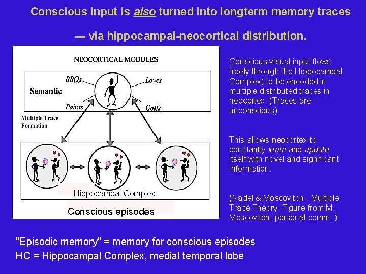 Conscious input is also turned into longterm memory traces --- via hippocampal-neocortical distribution. Conscious