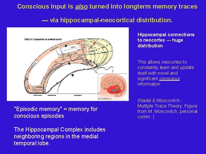 Conscious input is also turned into longterm memory traces --- via hippocampal-neocortical distribution. Hippocampal