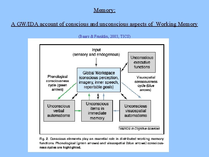 Memory: A GW/IDA account of conscious and unconscious aspects of Working Memory (Baars &