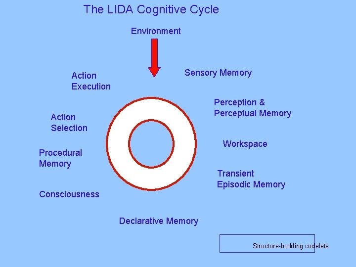 The LIDA Cognitive Cycle Environment Action Execution Sensory Memory Perception & Perceptual Memory Action