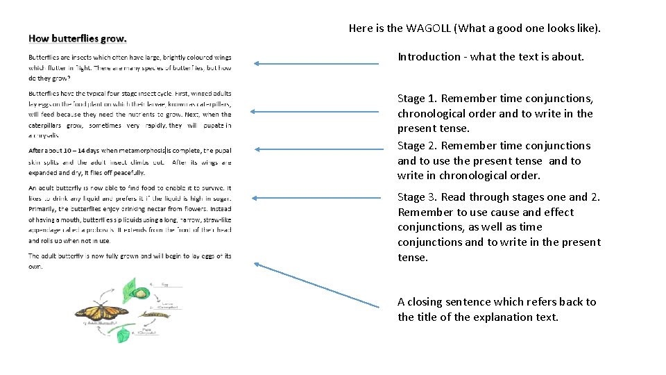 Here is the WAGOLL (What a good one looks like). Introduction - what the