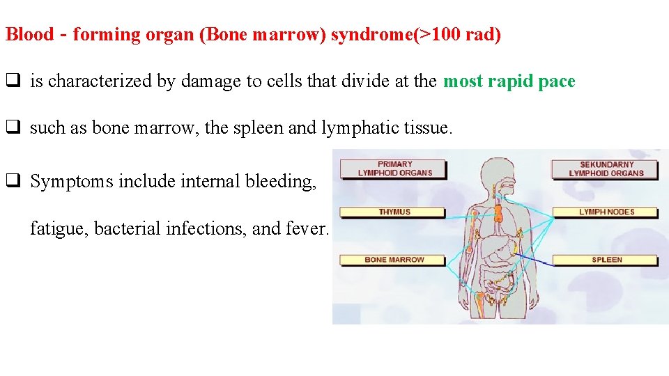 Blood‐forming organ (Bone marrow) syndrome(>100 rad) q is characterized by damage to cells that