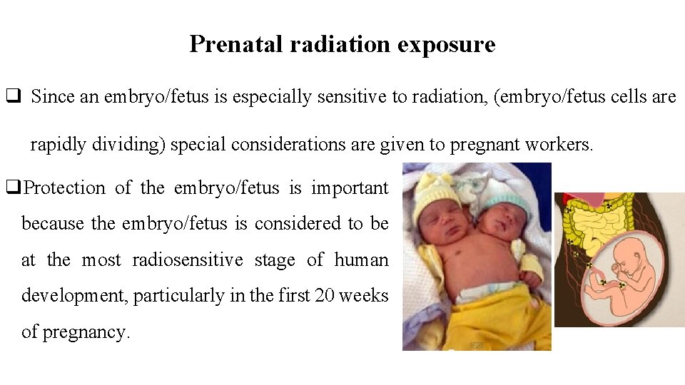 Prenatal radiation exposure q Since an embryo/fetus is especially sensitive to radiation, (embryo/fetus cells