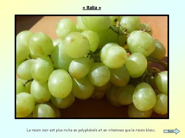  « Italia » Le raisin noir est plus riche en polyphénols et en