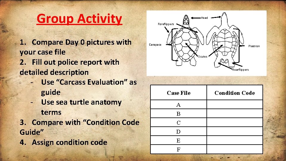 Group Activity 1. Compare Day 0 pictures with your case file 2. Fill out