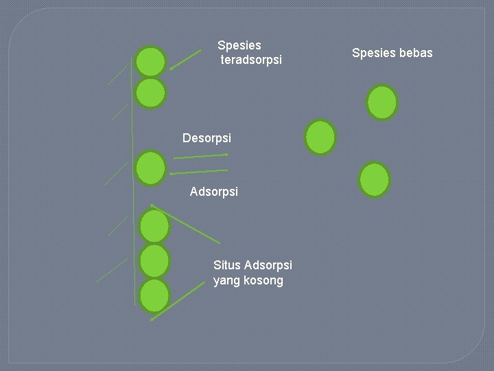 Spesies teradsorpsi Desorpsi Adsorpsi Situs Adsorpsi yang kosong Spesies bebas 