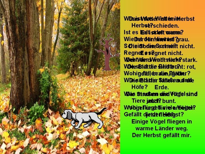 Wie ist. Wetter das Wetter Das ist imim Herbst? verschieden. Ist es kalt oder