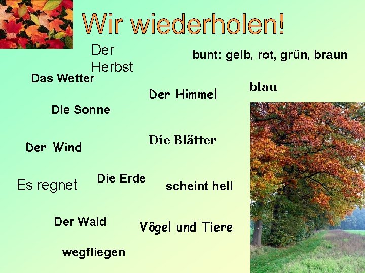 Der Herbst bunt: gelb, rot, grün, braun Das Wetter Der Himmel Die Sonne Die