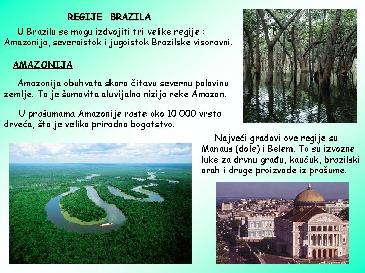 REGIJE BRAZILA U Brazilu se mogu izdvojiti tri velike regije : Amazonija, severoistok i