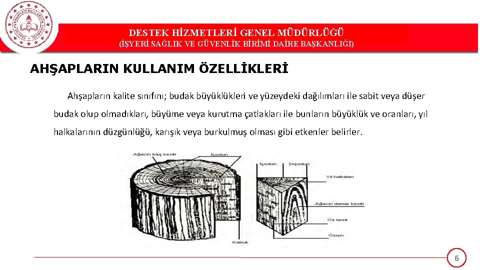 DESTEK HİZMETLERİ GENEL MÜDÜRLÜĞÜ (İŞYERİ SAĞLIK VE GÜVENLİK BİRİMİ DAİRE BAŞKANLIĞI) AHŞAPLARIN KULLANIM ÖZELLİKLERİ