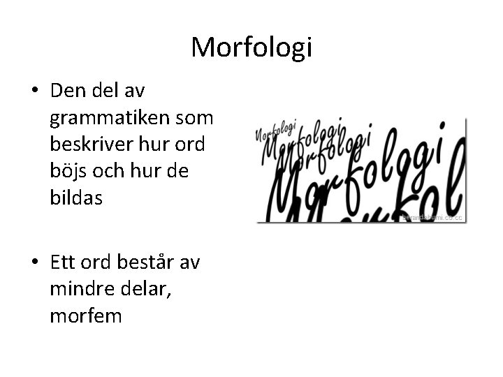 Morfologi • Den del av grammatiken som beskriver hur ord böjs och hur de