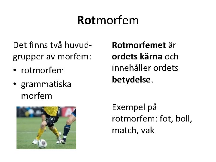 Rotmorfem Det finns två huvudgrupper av morfem: • rotmorfem • grammatiska morfem Rotmorfemet är