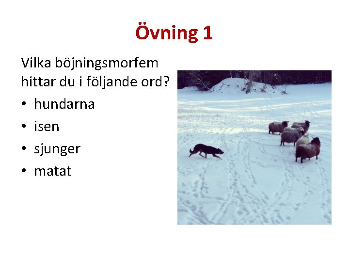 Övning 1 Vilka böjningsmorfem hittar du i följande ord? • hundarna • isen •