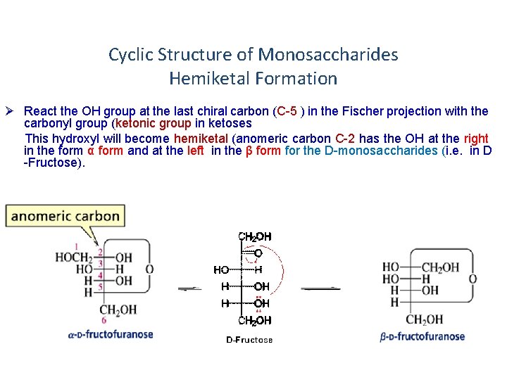 Cyclic Structure of Monosaccharides Hemiketal Formation Ø React the OH group at the last