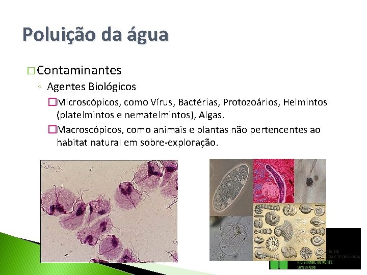 Poluição da água � Contaminantes ◦ Agentes Biológicos �Microscópicos, como Vírus, Bactérias, Protozoários, Helmintos