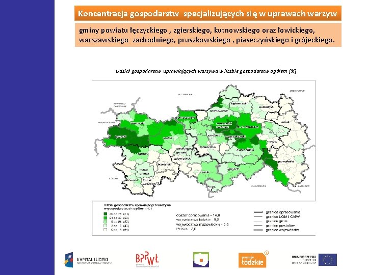 Koncentracja gospodarstw specjalizujących się w uprawach warzyw gminy powiatu łęczyckiego , zgierskiego, kutnowskiego oraz