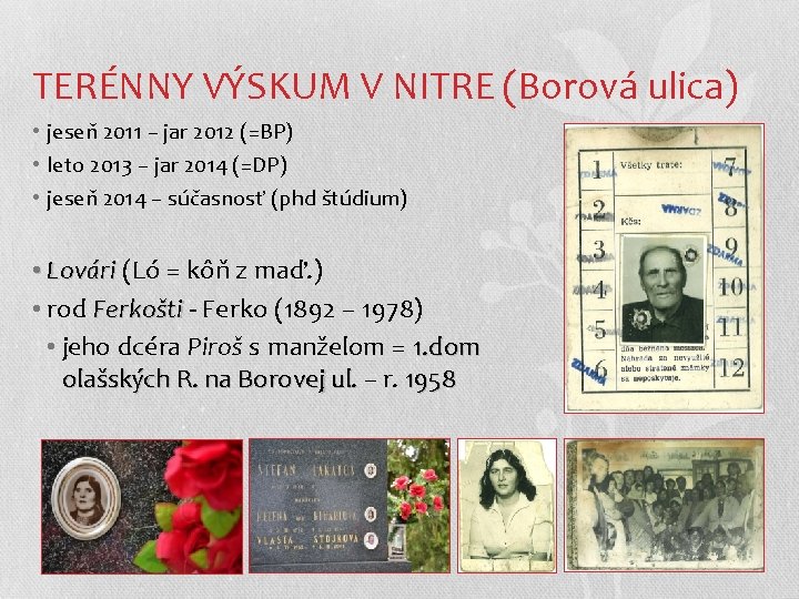 TERÉNNY VÝSKUM V NITRE (Borová ulica) • jeseň 2011 – jar 2012 (=BP) •