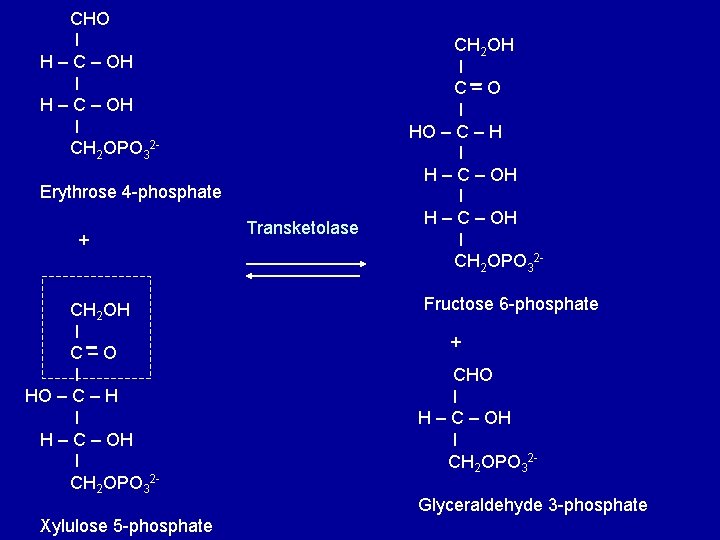 CHO Ι H – C – OH Ι CH 2 OPO 32 Erythrose 4