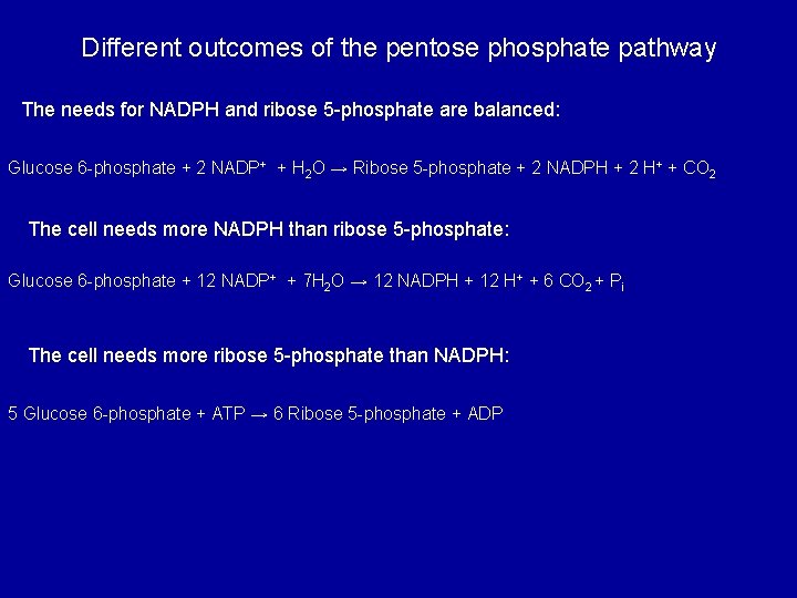 Different outcomes of the pentose phosphate pathway The needs for NADPH and ribose 5
