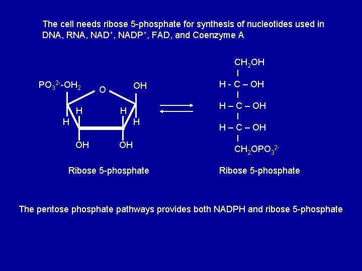 The cell needs ribose 5 -phosphate for synthesis of nucleotides used in DNA, RNA,