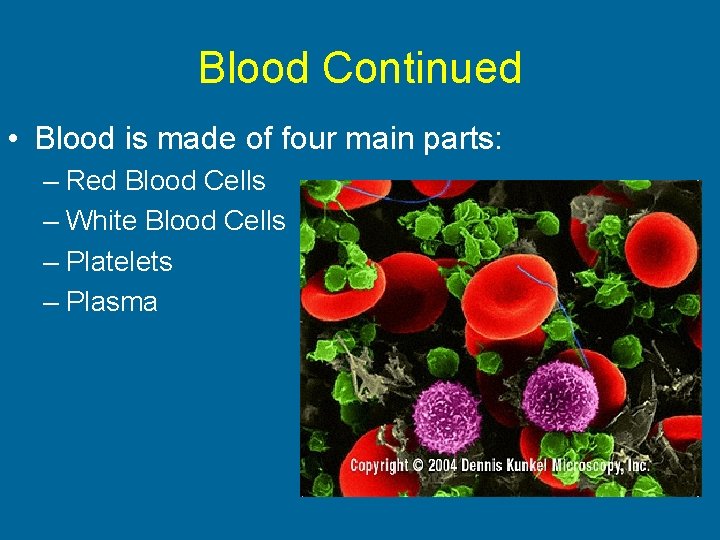 Blood Continued • Blood is made of four main parts: – Red Blood Cells